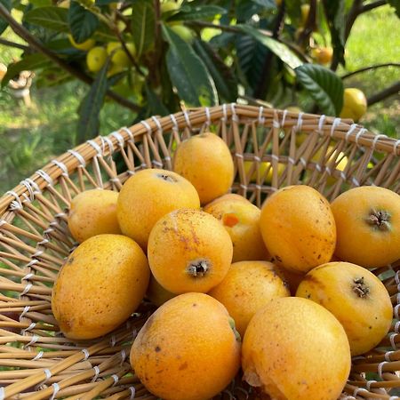 Bio&B Acquaviva Bed & Breakfast Otranto Bagian luar foto